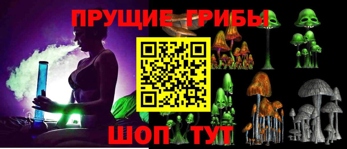 Псилоцибиновые грибы Psilocybe Лесозаводск